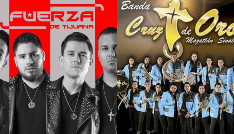 fuerza de tijuana y cruz de oro