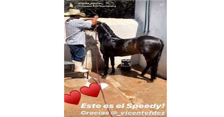 Vicente Fernández le dio un caballo a la hija de Pepe Aguilar