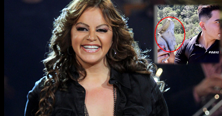 Youtuber halla restos de la avioneta donde perdió la vida Jenni Rivera (VIDEO)