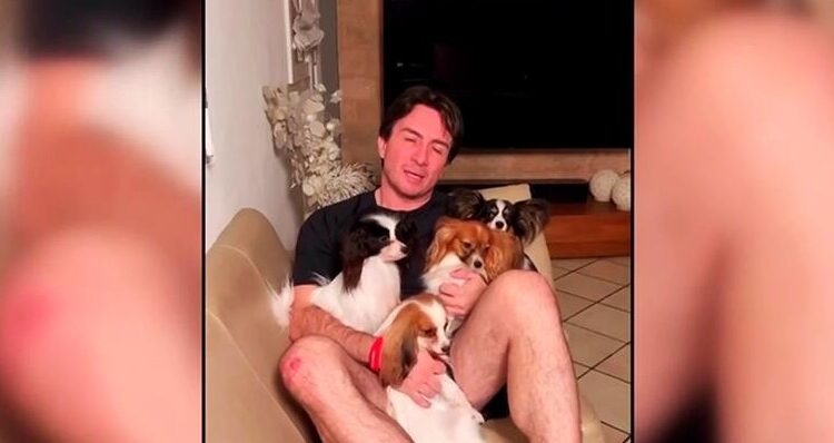 hombre con perros
