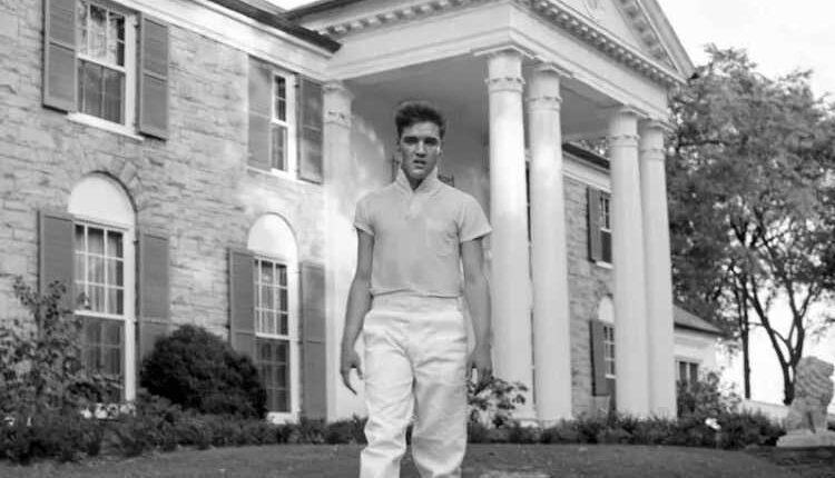 elvis